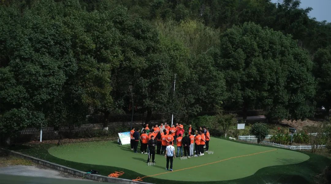 1698893995693007.jpg 1698893995693007.jpg